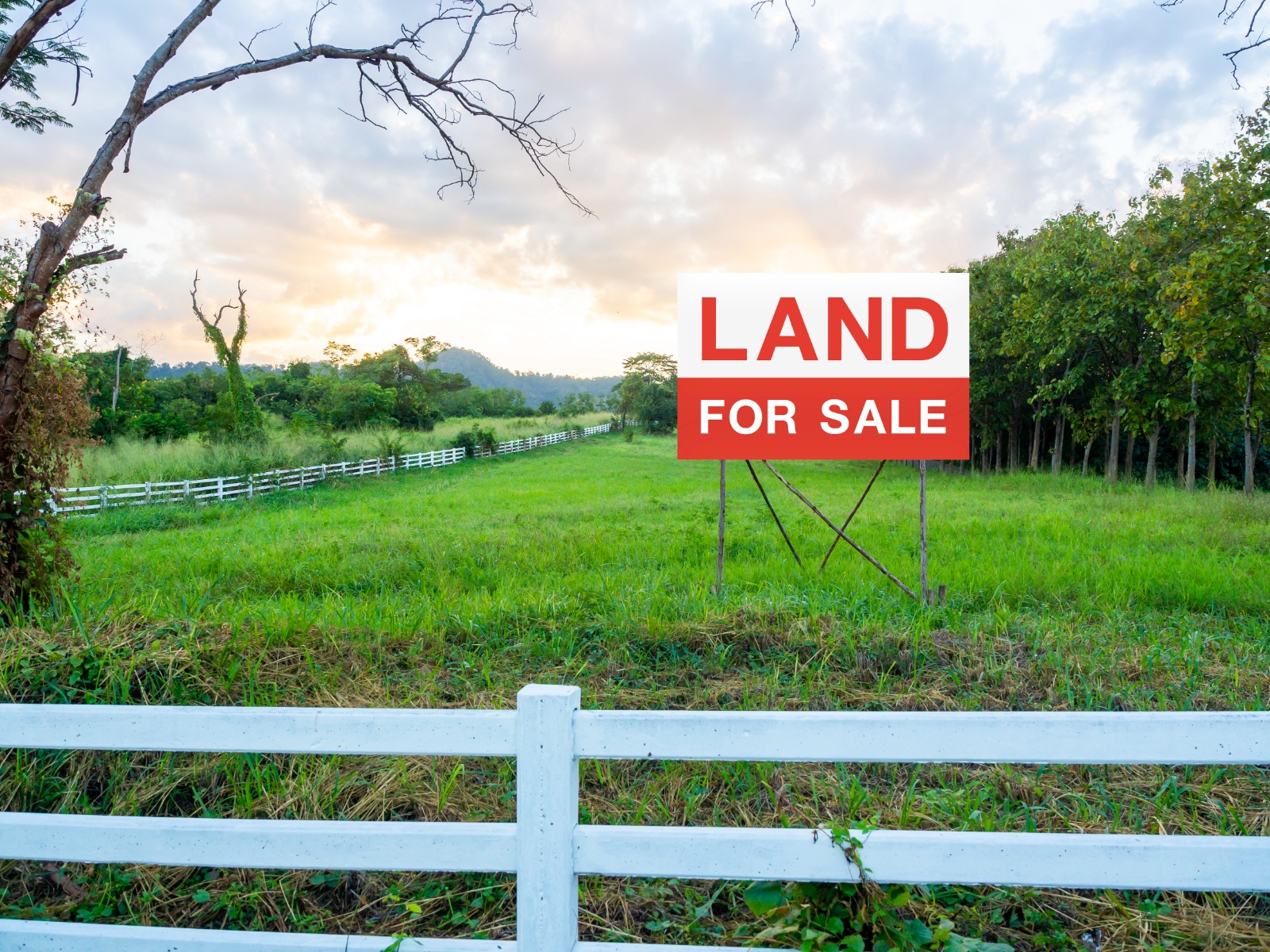 Land For Sale Sign