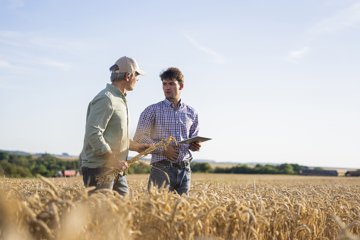 Why You Need an Accredited Land Consultant (ALC) When Buying Land in Mobile County, AL