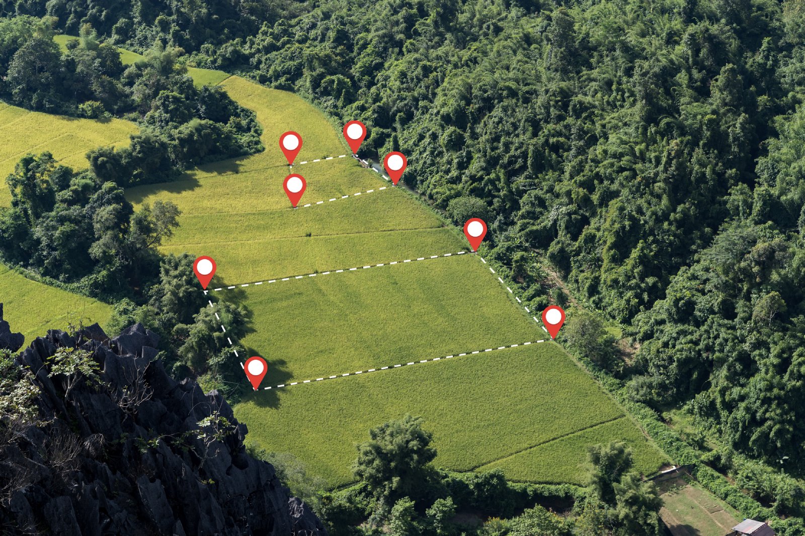 and plot management, real estate concept with a vacant land on a green field