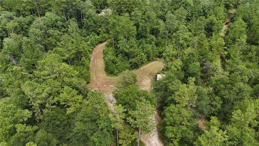 Aerial photo of vacant land in the middle of the woods